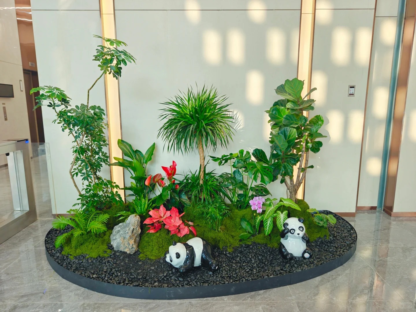 了解慈溪绿植出租,为环境增添盎然绿意